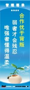 管理标语 现场管理标语 生产管理标语 合作优于背叛弱者才会残忍唯强者懂得温柔