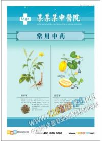 中药文化标语 中草药图 龙牙草甜瓜子