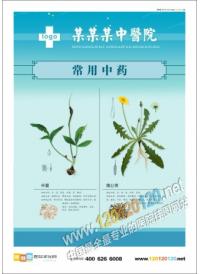 中草药大全图 中草药图 半夏蒲公英