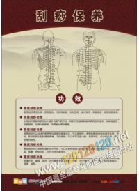 刮痧保养 刮痧的好处 刮痧知识宣传 人体穴位图 人体穴位示意图 人体脉络穴位图 人体经络穴位图 人体穴位经络图解 彩色人体穴位经络图  人体按摩穴位示意图 