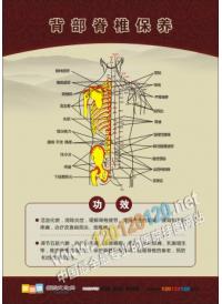 刮痧保养 刮痧的好处 刮痧知识宣传 人体穴位图 人体穴位示意图 人体脉络穴位图 人体经络穴位图 人体穴位经络图解 彩色人体穴位经络图  人体按摩穴位示意图 