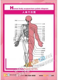 人体穴位经络图 中医经络图  经络穴位图  养生经络图 中医经络养生 经络养生  经络图 经络养生图 经络按摩 经络学人体脉络穴位图 人体经络穴位示意图 人体经络穴位图 养生馆宣传 养生按摩宣传