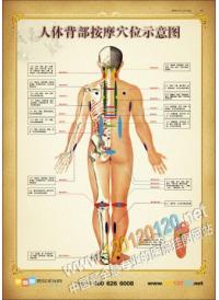 人体穴位经络图 中医经络图 经络穴位图 面部经络图 腿部经络图 背部经络图 养生经络图 中医经络养生 经络养生 经络图 经络养生图 经络按摩 经络学