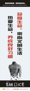 吸烟有害健康标语 吸烟有害健康宣传语 吸烟有害健康警示语 珍惜生命，崇尚文明生活