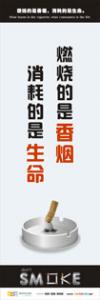 吸烟有害健康标语 吸烟有害健康宣传语 吸烟有害健康警示语 燃烧的是香烟，消耗的是生命