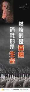 吸烟有害健康图片 吸烟有害健康宣传语 吸烟有害健康标语 燃烧的是香烟，消耗的是生命