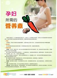 妇幼保健宣传标语 孕妇所需的营养素