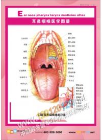 耳鼻喉医学图谱