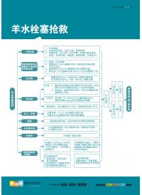 羊水栓塞抢救   医院急诊抢救流程图