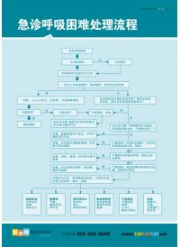 急诊呼吸困难处理流程  医院急诊抢救流程图