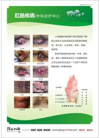 肛肠解剖图 医院标语口号 肛肠疾病图片 