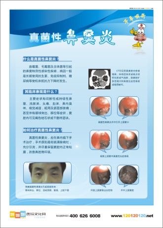 耳鼻喉科宣传 耳鼻喉科宣传资料 五官科宣传栏 耳鼻喉科标语 真菌性鼻窦炎