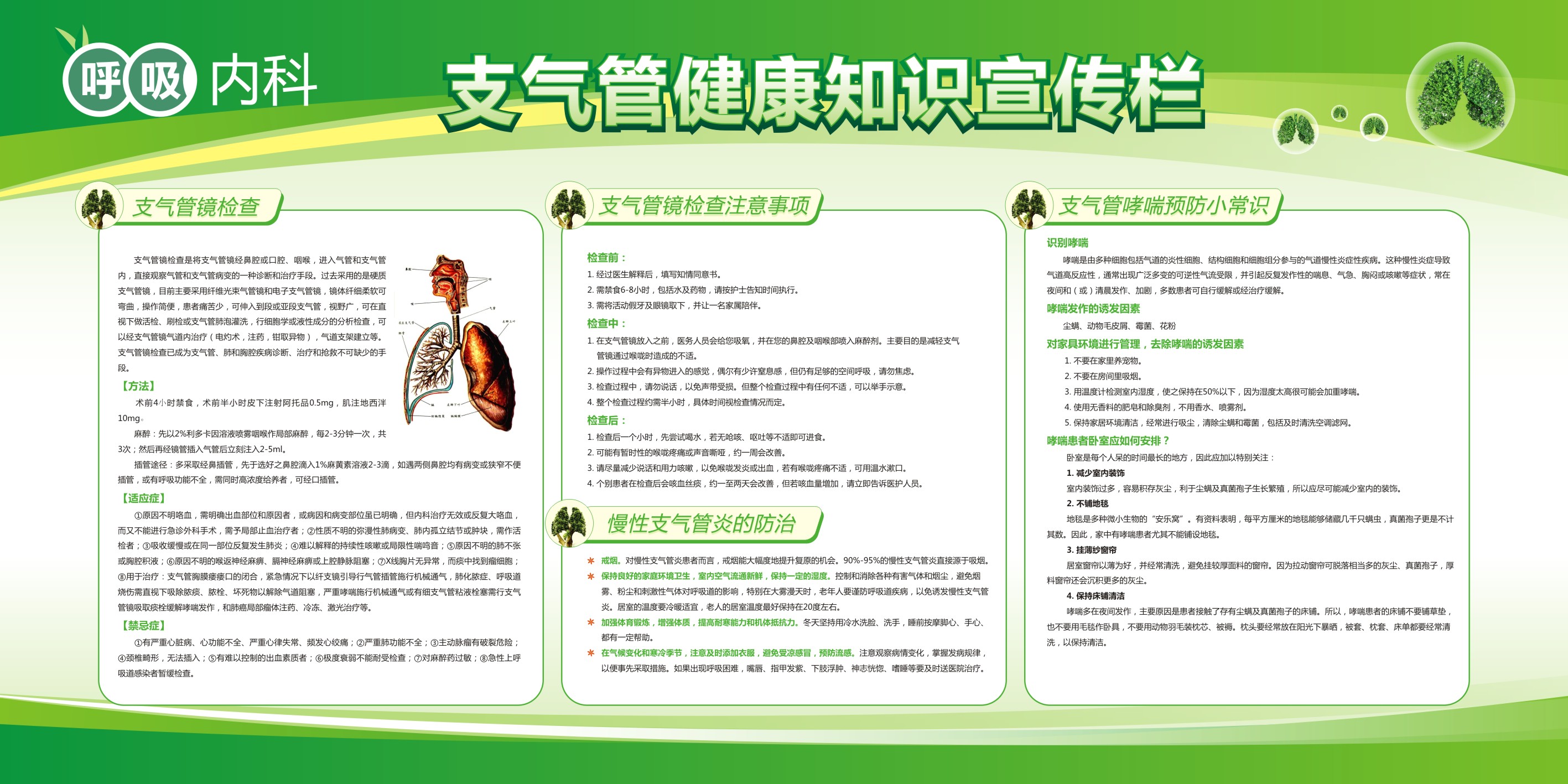 呼吸科健康教育 内科宣传栏