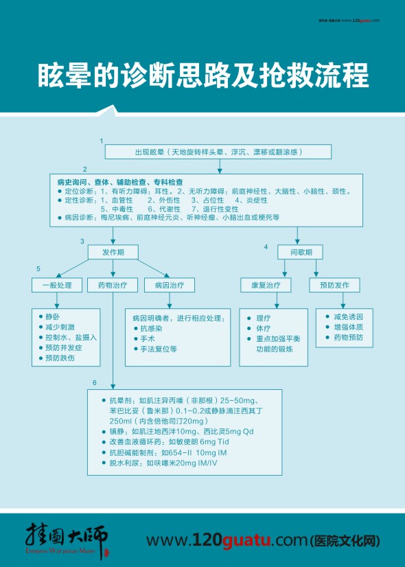 眩晕的诊断思路及抢救流程图 急诊科抢救流程图