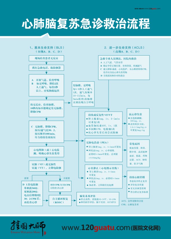 心肺复苏急诊救治流程图