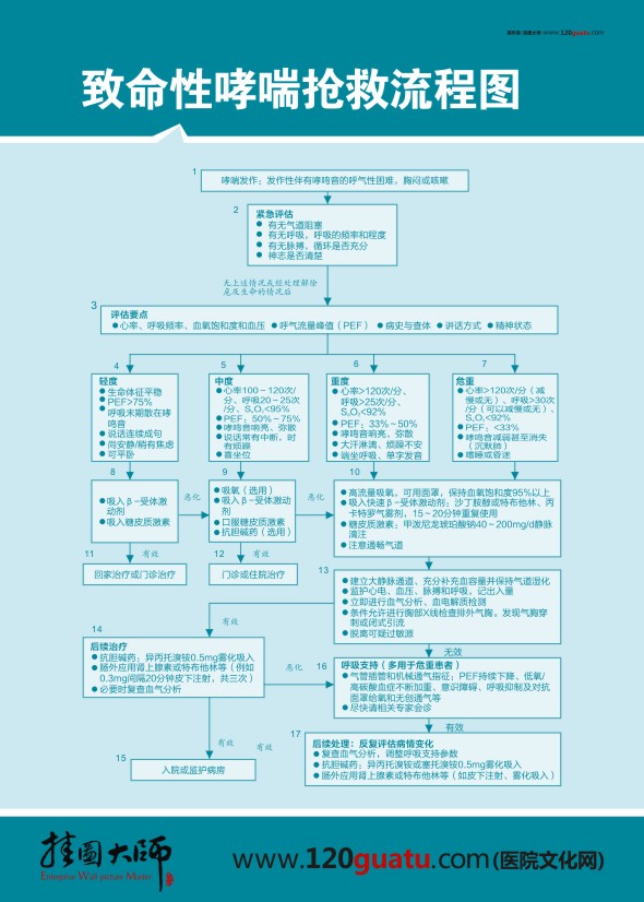致命性哮喘抢救流程图