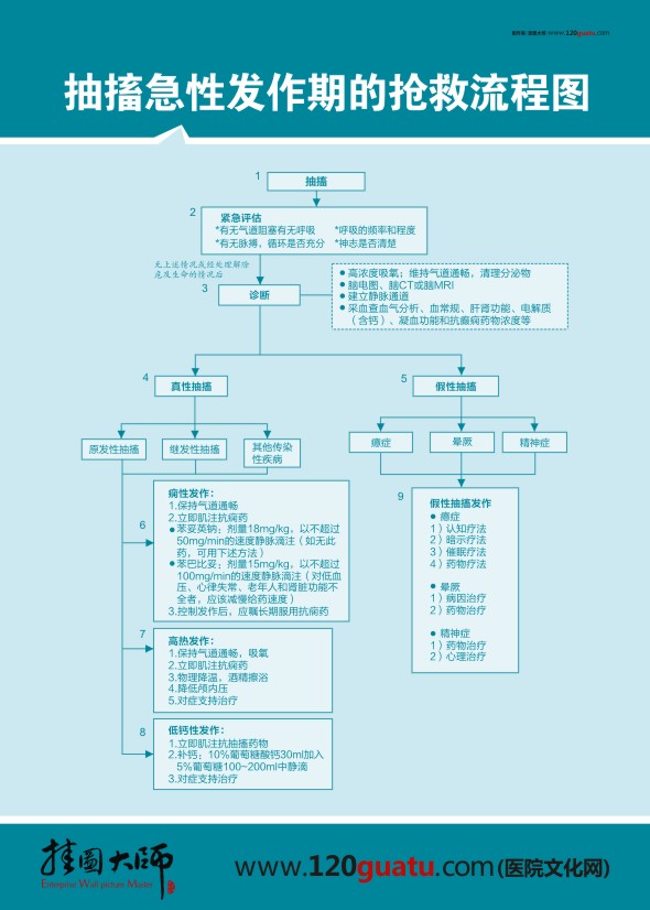 抽搐急性发作期的抢救流程图 医院抢救流程