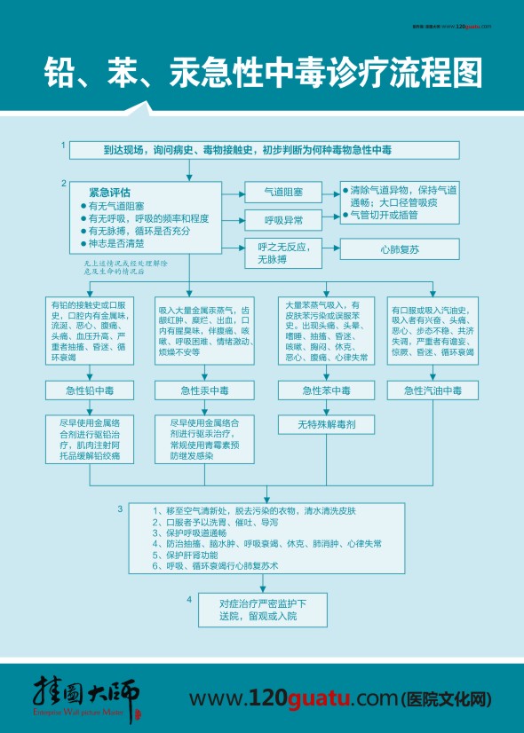 铅、笨、汞急性中毒诊疗流程图 医院急救流程