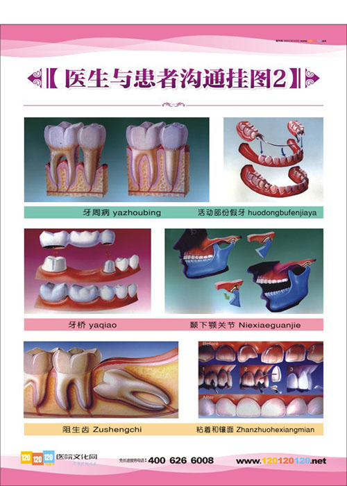 口腔医院图片 牙科门诊图片 口腔科医生与患者沟通挂图