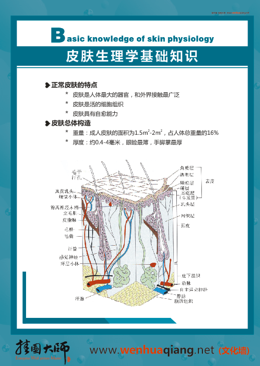 皮肤科标语|皮肤科健康教育