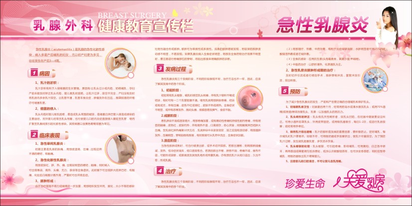 医院健康教育宣传栏图片 乳腺外科健康教育宣传栏3-急性乳腺炎