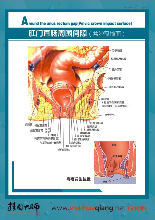 肛门直肠周围间隙（盆腔灌装面）