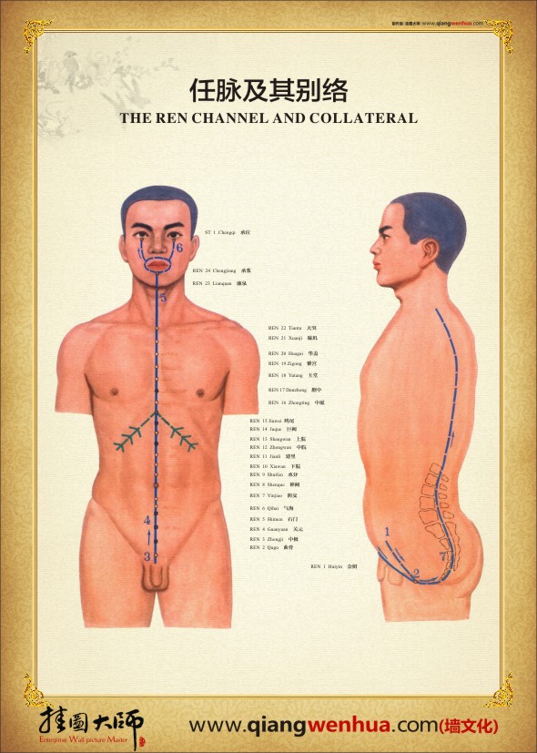 任脉及其别脉 人体经脉穴位图