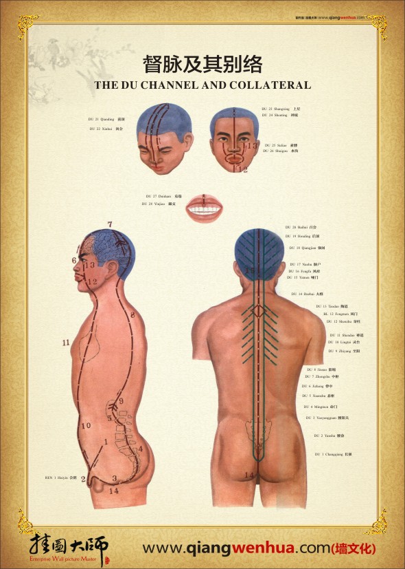 都脉及其别脉 人体经脉穴位图