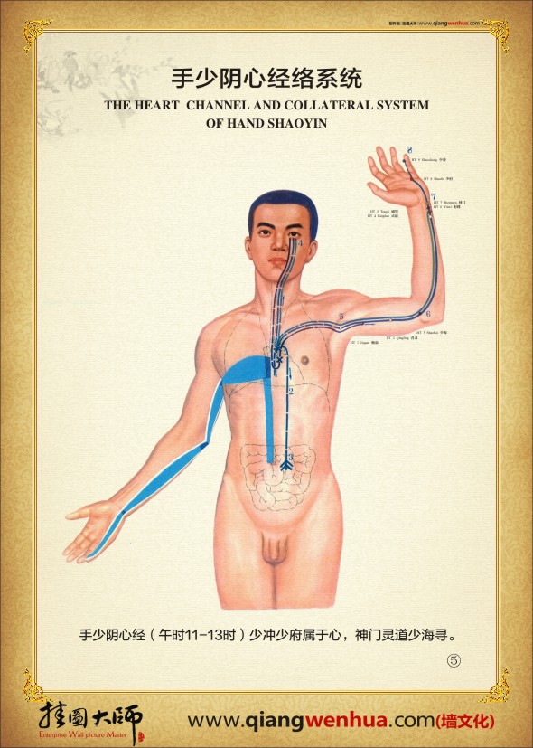 手少阴心经络系统  人体经络系统图