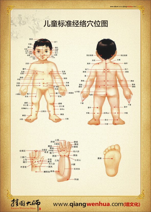 儿童经络穴位图 中医人体穴位图