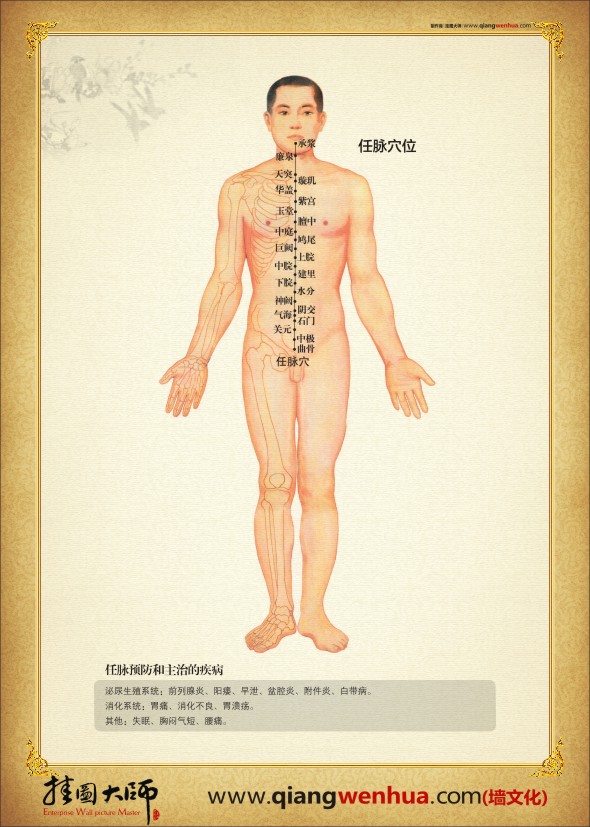 任脉穴位图 中医人体穴位图